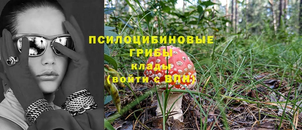 эйфоретик Алзамай