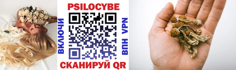 Галлюциногенные грибы прущие грибы  hydra ССЫЛКА  Чебоксары 